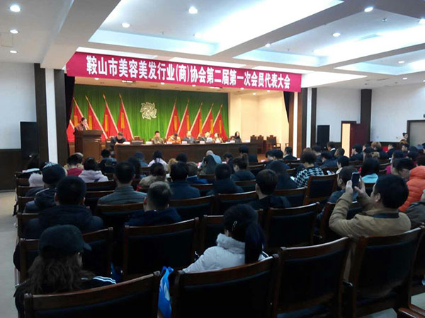 副会长:栗哲,赵艺,崔芳,李悦,韩兆辉,翟丹,崔大海,刘鹏,郑岩,蔡继宏